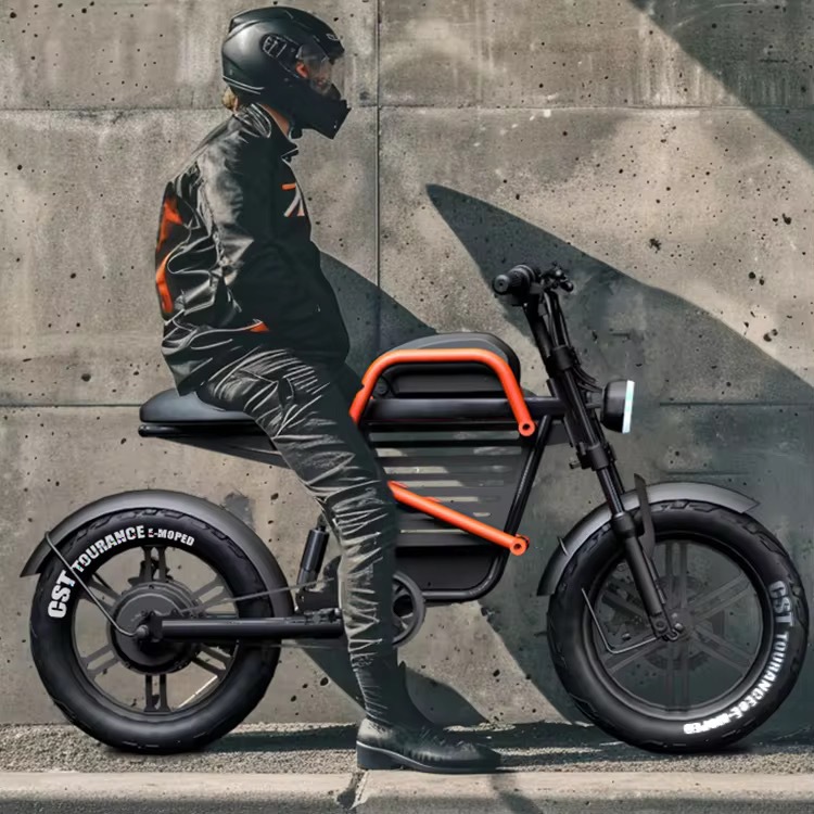60V 20Ah WideTire Electric Mot - огляд і ціна Commuting With Road Bike